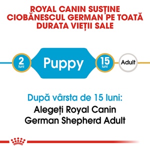 Royal Canin German Shepherd Puppy, hrana uscata caine junior Ciobanesc German, 1KG - Img 6