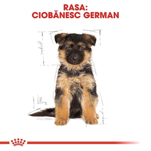 Royal Canin German Shepherd Puppy, hrana uscata caine junior Ciobanesc German, 12KG - Img 4