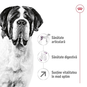 Royal Canin Giant Adult, hrana uscata caine, 15KG - Img 3