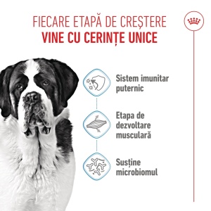 Royal Canin Giant Junior, hrana uscata caine junior etapa 2 de crestere , 15KG - Img 3