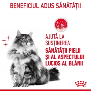 Royal Canin Hair&Skin Care Adult, hrana uscata pisica, piele si blana, 4KG - Img 3