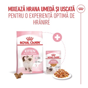 Royal Canin Kitten, hrana umeda pisica junior (aspic), 12 x 85G - Img 7