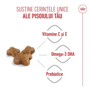 Royal Canin Kitten, hrana uscata pisica junior, 400G - Img 9