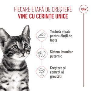 Royal Canin Kitten Sterilised, hrana umeda pisica sterilizata junior (in sos), 12 x 85G - Img 3