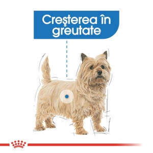 Royal Canin Light Weight Care Adult, hrana umeda caine, limitarea cresterii in greutate (pate), 12 x 85G - Img 3