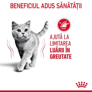 Royal Canin Light Weight Care Adult, hrana uscata pisica, limitarea cresterii in greutate, 400G - Img 8
