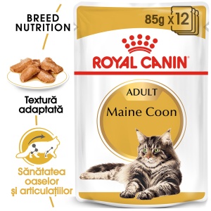 Royal Canin Maine Coon Adult, hrana umeda pisica (in sos), 12 x 85G