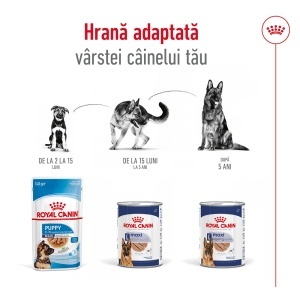 Royal Canin Maxi Adult, hrana umeda caine (pate), 10 x 140G - Img 4