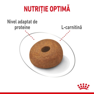 Royal Canin Maxi Light Weight Care Adult, hrana uscata caine, limitarea cresterii in greutate, 12KG - Img 4