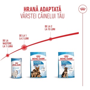 Royal Canin Maxi Starter Mother & BabyDog, mama si puiul, hrana uscata caini, 15KG - Img 7