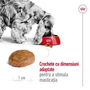 Royal Canin Medium Adult 7+, hrana uscata caine, 4KG - Img 5