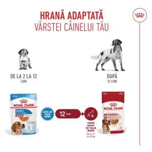 Royal Canin Medium Puppy, hrana umeda caine junior (in sos), 10 x 140G - Img 5