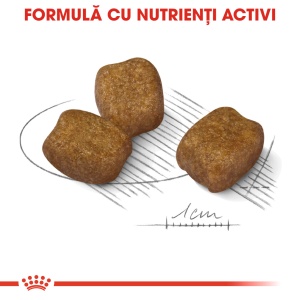 Royal Canin Mini Dental Care Adult, hrana uscata caine, reducerea formarii tartrului, 1KG - Img 4