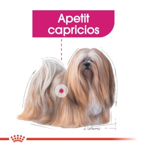 Royal Canin Mini Exigent, hrana uscata caine, apetit capricios, 1KG - Img 3