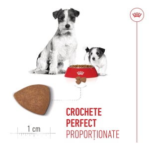 Royal Canin Mini Starter Mother & BabyDog, mama si puiul, hrana uscata caini, 1KG - Img 8
