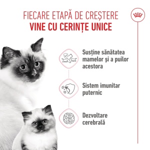 Royal Canin Mother & BabyCat, hrana uscata pisica, mama si puiul, 400G - Img 3