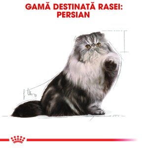Royal Canin Persian Adult, hrana umeda pisica (pate), 12 x 85G - Img 3