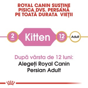 Royal Canin Persian Kitten, hrana uscata pisica junior, 400G - Img 6