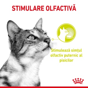 Royal Canin Sensory Smell, hrana umeda pisici, stimularea mirosului (in sos), 12 x 85G - Img 9