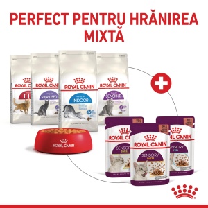 Royal Canin Sensory Taste, hrana umeda pisici, stimularea gustului (in sos), 12 x 85G - Img 5