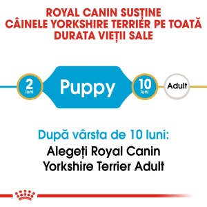 Royal Canin Yorkshire Puppy, hrana uscata caine junior, 500G - Img 6
