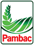 PAMBAC