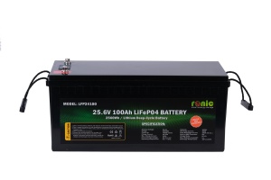 Baterie/Acumulator LiFePO4, 25.6V 100Ah, model LFP24100 - Img 1