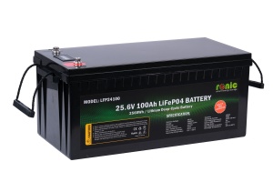 Baterie/Acumulator LiFePO4, 25.6V 100Ah, model LFP24100 - Img 2