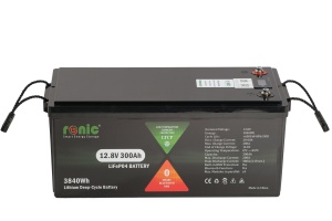 Baterie/Acumulator LiFePO4, 12.8V 300Ah, functie Bluetooth si LTCP, model LFP12300SDSG - Img 2