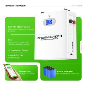 Baterie/Acumulator rezidențial LiFePO4 51.2V/100 Ah – Model BASEN GREEN BR-WM-LV 5.12 KWh - Img 5