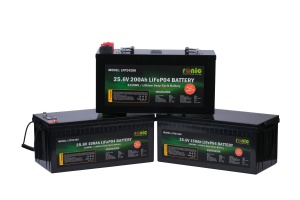 Baterie/Acumulator LiFePO4, 25.6V 100Ah, model LFP24100 - Img 5