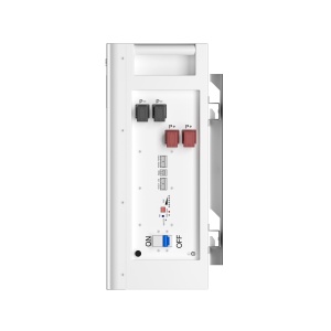 Baterie/Acumulator rezidențial LiFePO4 51.2V/100 Ah – Model BASEN GREEN BR-WM-LV 5.12 KWh - Img 3