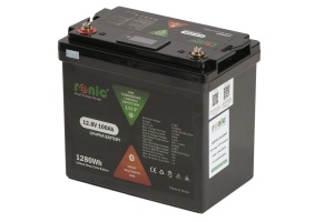 Baterie/Acumulator LiFePO4, 12.8V 100Ah, functie Bluetooth si LTCP, model LFP12100SDHY MINI COMPACT - Img 3