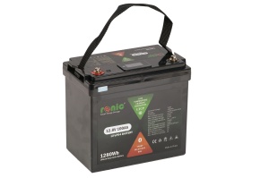 Baterie/Acumulator LiFePO4, 12.8V 100Ah, functie Bluetooth si LTCP, model LFP12100SDHY MINI COMPACT - Img 4