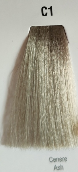 Vopsea profesională pe baza de ulei culoarea C1 Cenusiu 1x250ml - Img 3