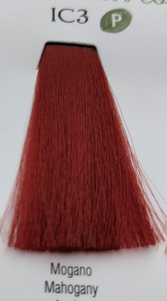 Pigment concentrat IC 3 Mahon - Transformă-ți părul cu eleganță 1x240ml - Img 2