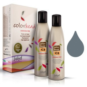 Color Head Concentrat IC8 Gri 1x240ml