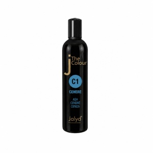 Vopsea profesională pe baza de ulei culoarea C1 Cenusiu 1x250ml - Img 2