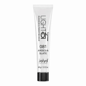 LightOn 081 Ardesia gri rece cu subtonuri albastre - 2 în 1 Decolorare și colorare profesională | Formula Protectoare 60 gr