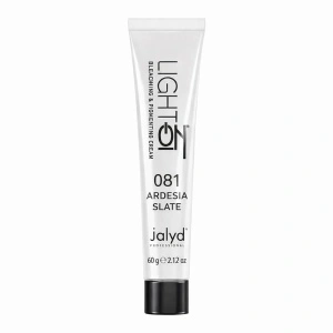 LightOn 081 Ardesia gri rece cu subtonuri albastre - 2 în 1 Decolorare și colorare profesională | Formula Protectoare 60 gr