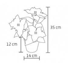 Decor cu LED-uri, Crăciuniţă, 3V SCF 5 + baterii incluse - Img 2