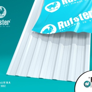 Tabla cutata R18 A Rufster - Img 6