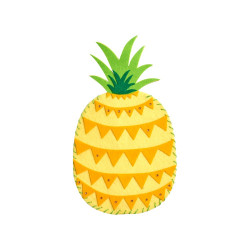 KIT CREATIE 6-IN-1 ALOHA VARA
