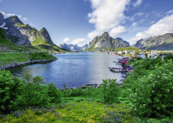 PUZZLE PORTUL LOFOTEN, 1000 PIESE