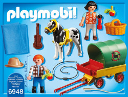 Trasura Cu Ponei Si Picnic