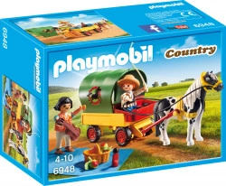 Trasura Cu Ponei Si Picnic