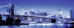 Puzzle MINUNATUL NEW YORK 1000 piese - Img 2