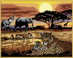 Pictura Pe Numere Safari African