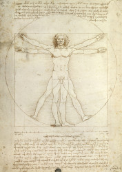 PUZZLE LEONARDO DA VINCI: PROPORTIILE CORPULUI UMAN, 1000 PIESE