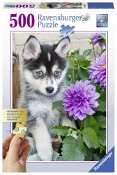 PUZZLE CATEL HUSKY, 500 PIESE